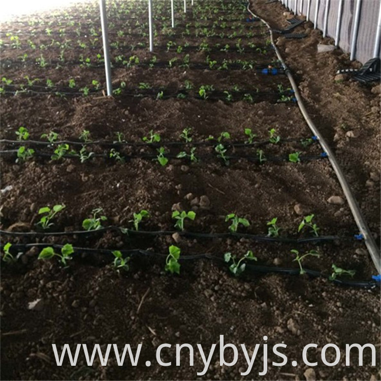 Drip Irrigation 97